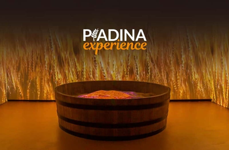 Rimini: Piadina Experience Museum Entry Ticket - Making Piadina: Hands-On Insights and Tricks