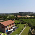 Rimini: San Valentino DOC Wine Tastings - Exploring the Vineyard and Cellar with an Expert Guide