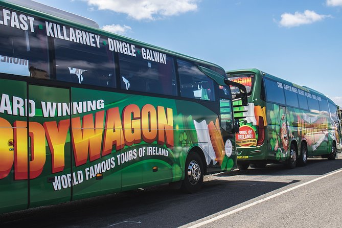 Ring of Kerry Day Tour from Cork: Including Killarney National Park - Killarney Town: Ireland’s Scenic Gateway