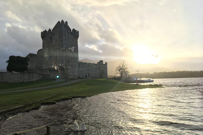 Ring of Kerry Tour Private Chauffeur Driven From Killarney Luxury - Kerry Cliffs: Spectacular Views and Birdlife