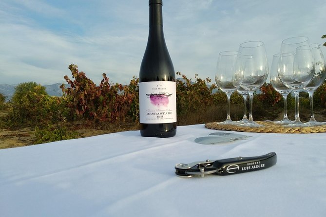 Rioja Wine Tour: Winery & Traditional Lunch From Bilbao - Tasting Four Wines with a Local Guide