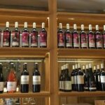 Rioja winery hopping tour from San Sebastian - The Experience at Bodegas Gomez Cruzado and Ostatu