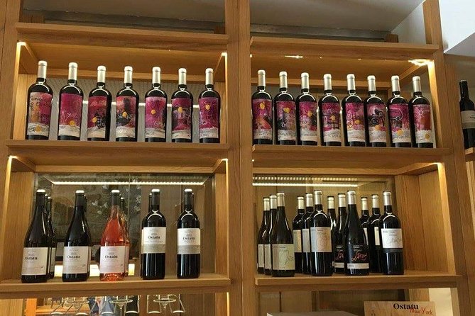 Rioja winery hopping tour from San Sebastian - The Experience at Bodegas Gomez Cruzado and Ostatu