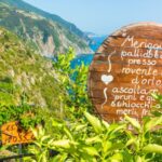 Riomaggiore: Vineyard & Wine Cellar Tour with Wine Tasting - Exploring the Tradition of Cinque Terre Winemaking