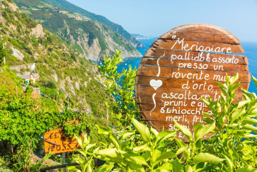 Riomaggiore: Vineyard & Wine Cellar Tour with Wine Tasting - Exploring the Tradition of Cinque Terre Winemaking