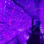 Ripley's Believe It or Not Amsterdam & 1-Hour Canal Cruise - How the Canal Cruise Showcases Amsterdam’s Top Landmarks