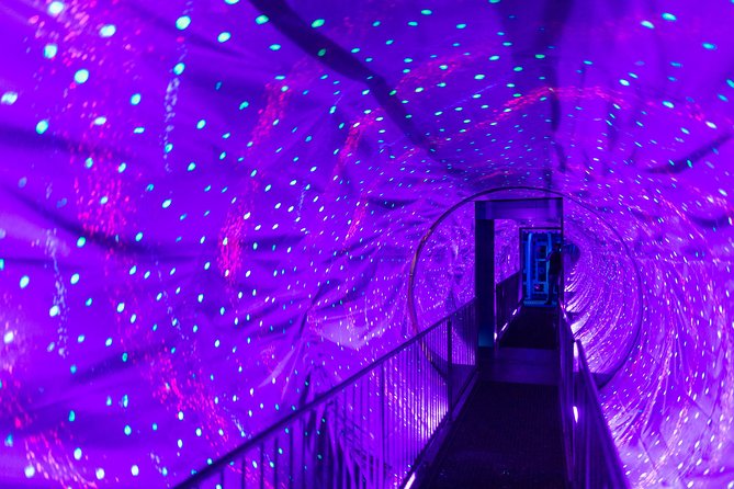 Ripley's Believe It or Not Amsterdam & 1-Hour Canal Cruise - How the Canal Cruise Showcases Amsterdam’s Top Landmarks