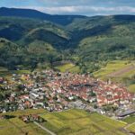 Riquewihr: Private Guided Walking Tour - Meeting Point Near the Horse Statue Outside the Fortifications
