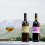 Roccantica: Guided Tour of the Organic Farm with Aperitif - Exploring the Vineyard and Olive Grove with Etruscan Techniques