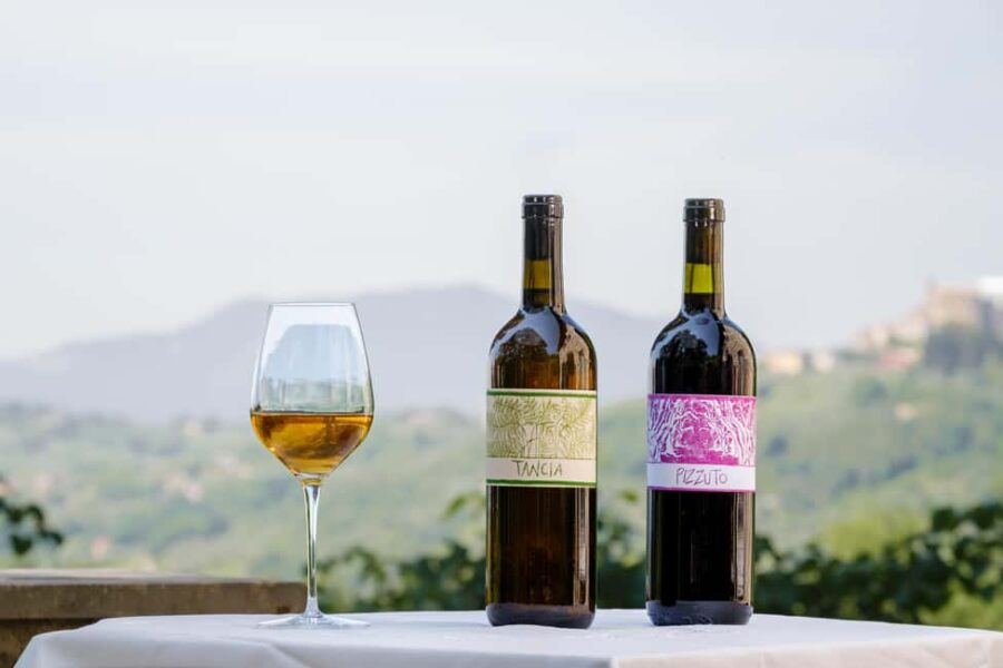 Roccantica: Guided Tour of the Organic Farm with Aperitif - Exploring the Vineyard and Olive Grove with Etruscan Techniques