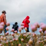 Rock Climbing Trip Algarve - Safety and Equipment: All You Need is Your Enthusiasm