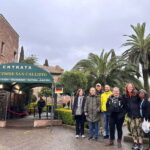 Roman Catacombs Guided Tour with Transfer from Rome Center - The Historic Site of the Catacombs of St. Callixtus in Rome