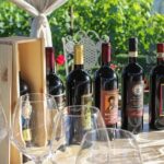 Romantic Lunch in the Vine Rows in Tuscany - Enjoy a Scenic Stroll Through the Vineyard Property