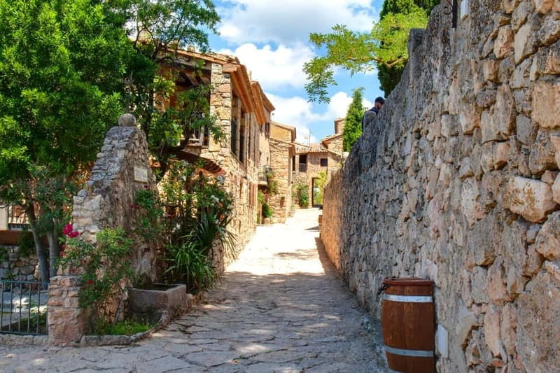 Romantic Tour, Wines and Picnic in Siurana and Priorat from Barcelona - From the Old Town to the Castle District in Siurana