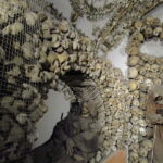 Rome: Capuchin Crypts Skip-the-Line Ticket and Tour - Starting Point at Via Vittorio Veneto 27