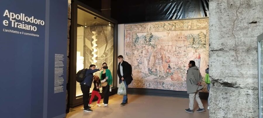 Rome: Colosseum Express Guided Tour - Inside the Colosseum: Access and Highlights