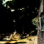 Rome: Hike along the ancient Appian Way - Walking on the Original Appian Way: History and Authenticity