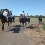 Rome : Horseback Riding with meals and wine included - The Ranch: Up Close with Horses and a Friendly Atmosphere