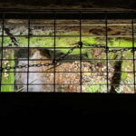 Rome underground hidden temples, ruins, and secret basilicas - Exploring the Ludus Magnus Gladiator School Ruins