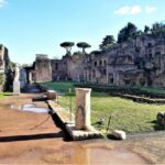 Rome: Vatican, Colosseum & Main Squares Tour w/ Lunch & Car - A Visit to the Colosseum and Roman Forum