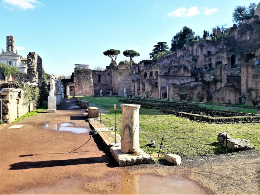 Rome: Vatican, Colosseum & Main Squares Tour w/ Lunch & Car - A Visit to the Colosseum and Roman Forum