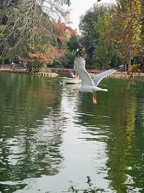 Rome: Villa Borghese Lake Tour by boat, rowing independently + golf cart - Logistics and Meeting Details