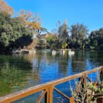Rome: Villa Borghese Lake Tour by Boat, Rowing Independently + Photos - How the Photo Session Elevates the Experience