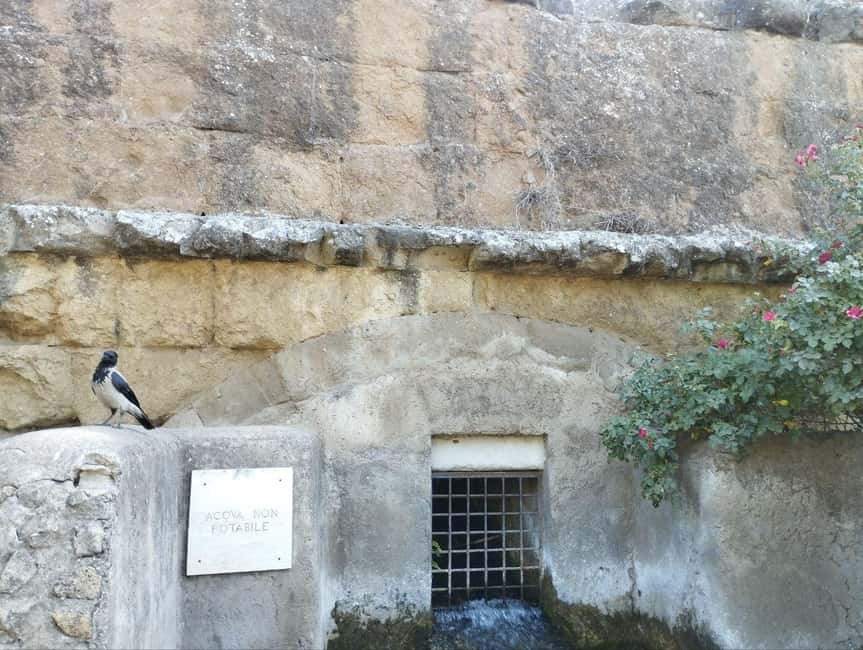 Rome: Walking Tour to the Park of the Aqueducts - From Porta Maggiore to the Remains of Roman Waterways