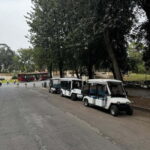 Rome: Zoo entry ticket + Villa Borghese Golf Cart Tour - Starting at the Mostra dellAcqua Felice