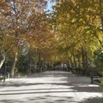 Ronda: 2-Hour Private Walking Tour - Visiting Alameda del Tajo and Mountain Views