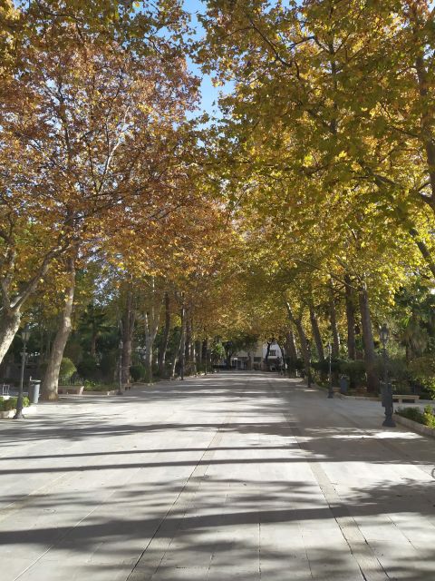 Ronda: 2-Hour Private Walking Tour - Visiting Alameda del Tajo and Mountain Views