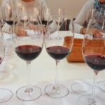 Ronda Day Tour and Winery Visits from Marbella - Behind-the-Scenes at Bodegas Conrad