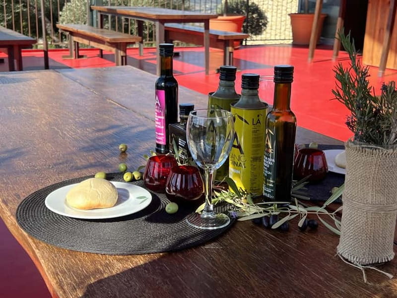 Ronda: LA Almazara LA Organic, Olive Oil Museum and Tasting - Walking through the farm and vegetable gardens