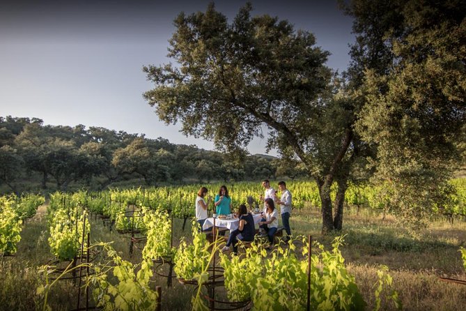 Ronda Private Wine Tour and Tapas from Marbella - Starting Your Day: Convenient Pickup from Marbella