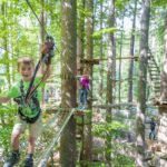 Rope Park Interlaken: Climbing Adventure with Entry Ticket - Navigating the Multiple Courses and Challenges