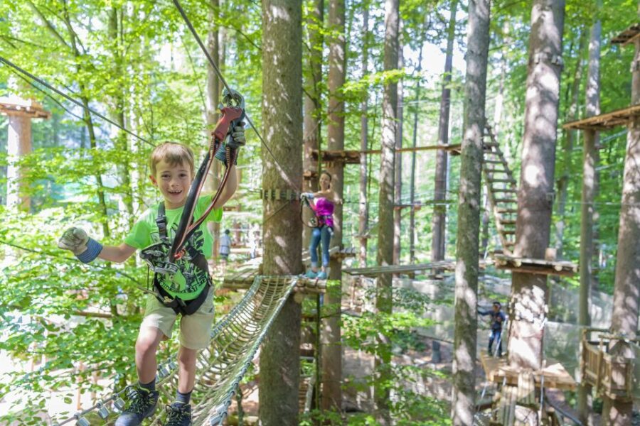 Rope Park Interlaken: Climbing Adventure with Entry Ticket - Navigating the Multiple Courses and Challenges