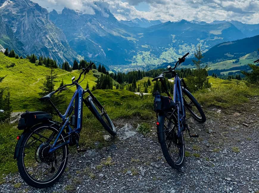 Rosenlaui Valley E-bike tour from Interlaken - Practical Details: Logistics and Group Size