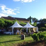 Roséwinetasting Parties or Workshops with a WineEducator at your place - The Concept of "Millesimes & Quintessence" Explained