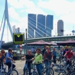 Rotterdam Highlights Bike Tour - Visiting the Museum Boijmans Van Beuningen and Its Unique Architecture