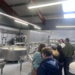 Rotterdam: Kinderdijk UNESCO Cheese Farm Experience - Starting Point at Willemskade 15 Near Erasmus Bridge