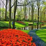 Rotterdam: Private Sightseeing Tour to Keukenhof - Easy and Comfortable Transportation from Rotterdam