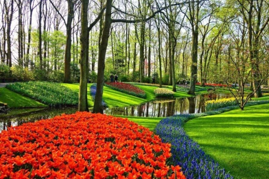 Rotterdam: Private Sightseeing Tour to Keukenhof - Easy and Comfortable Transportation from Rotterdam