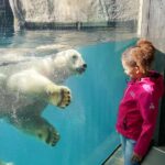 Rotterdam: Rotterdam Zoo Blijdorp Entry Ticket - Rotterdam Zoo Blijdorp’s Location and How to Access It