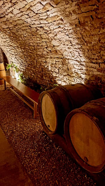 Route du Champagne: Food and wine tour - Exploring the Champagne Route: A Region of Unique Charm