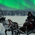 Rovaniemi: 2km Aurora Reindeer Safari Through the Forest - The Reindeer Sled Ride Through the Forest