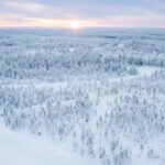 Rovaniemi: 2km Reindeer Sled Ride Through the Forest - The Unique Reindeer Sleigh Ride Experience