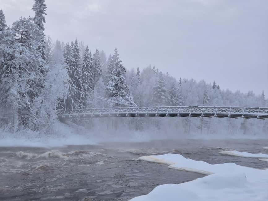 Rovaniemi: 5 Attractions of the Arctic Circle  Easy Hiking - Visiting Hidden Arctic Islands in Snowy Forests
