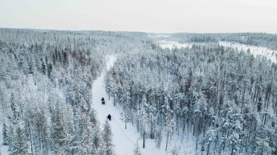 Rovaniemi: 6-Hour Snowmobile Safari in Lapland - Starting Point and Pickup Options in Rovaniemi