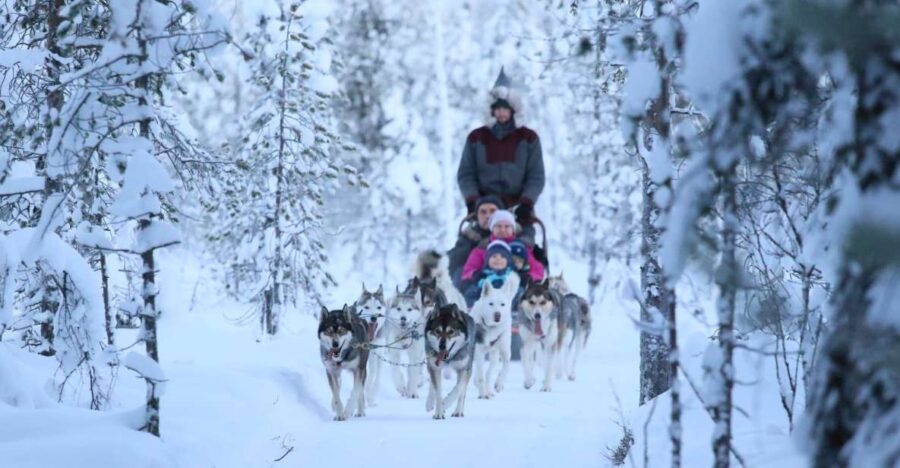 Rovaniemi: 7km Self-Drive Husky Sleigh Ride Adventure - Starting Point and Logistics in Rovaniemi
