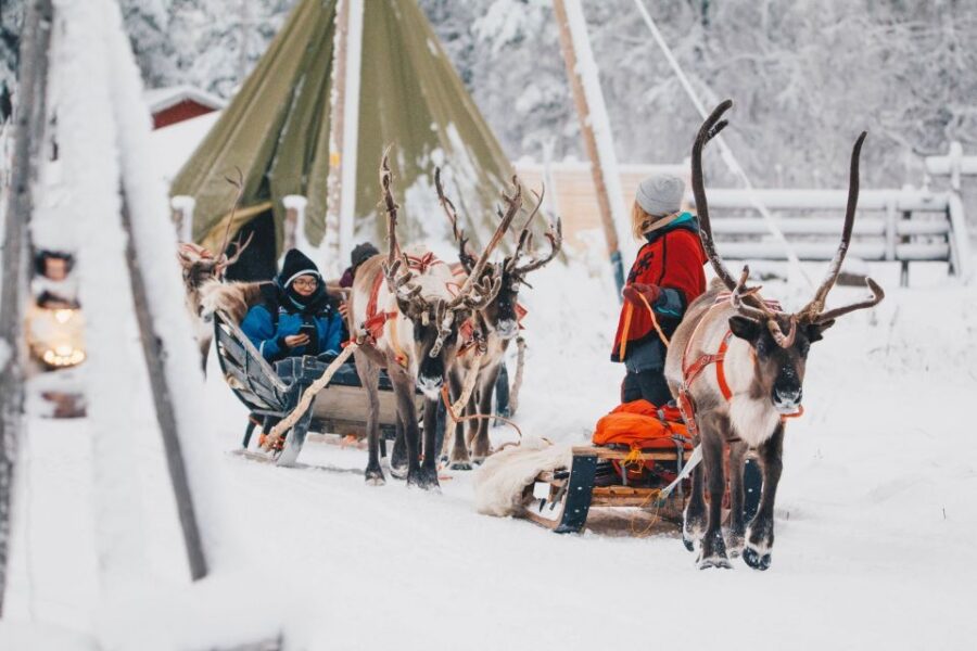 Rovaniemi: Apukka Reindeer Journey - The Reindeer Sleigh Ride Experience